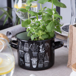 Garnek emaliowany na gaz i indukcję Silesia Rybnik Cactus Black 1,65 L
